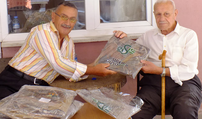 avyelek1.jpg avyelek1.jpg