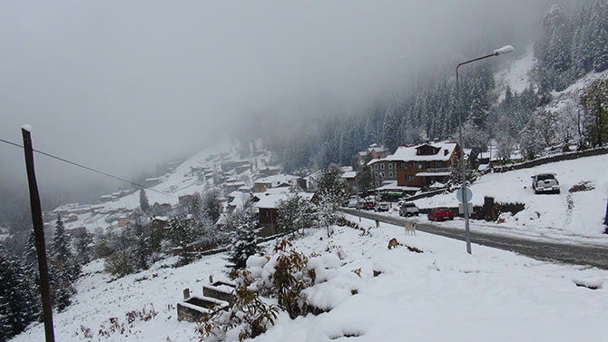 ayder1-003.jpg ayder1-003.jpg