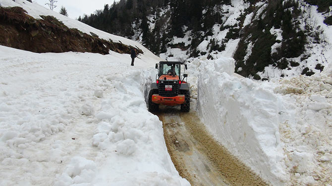 ayder1-007.jpg ayder1-007.jpg