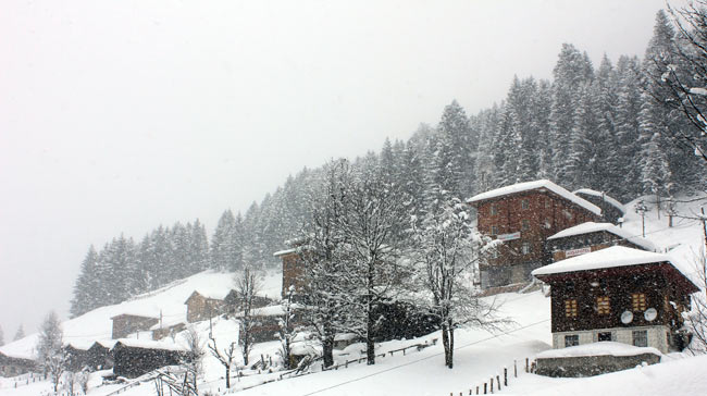 ayder1.20120219164916.jpg ayder1.20120219164916.jpg