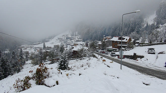 ayder2-003.jpg ayder2-003.jpg