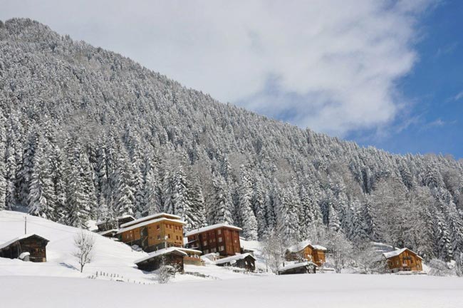 ayder2.20130318132014.jpg ayder2.20130318132014.jpg