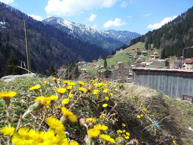 ayder2.20130327091932.jpg ayder2.20130327091932.jpg