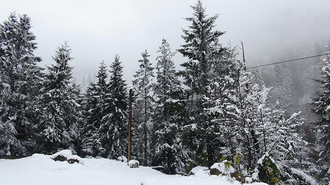 ayder3-003.jpg ayder3-003.jpg