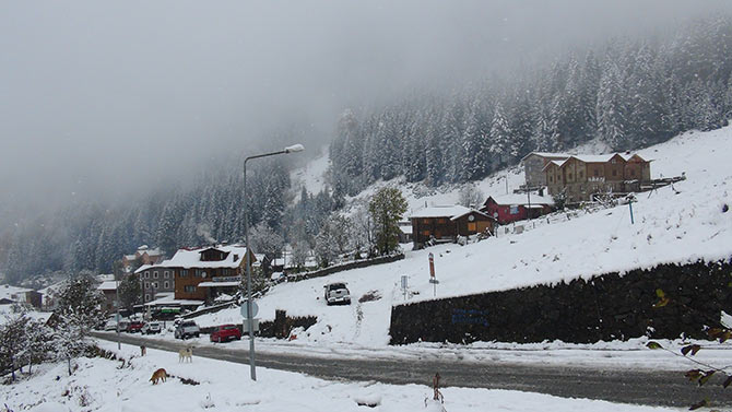 ayder4-003.jpg ayder4-003.jpg