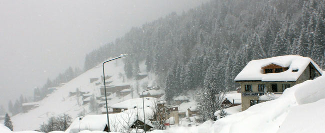 ayder4.jpg ayder4.jpg