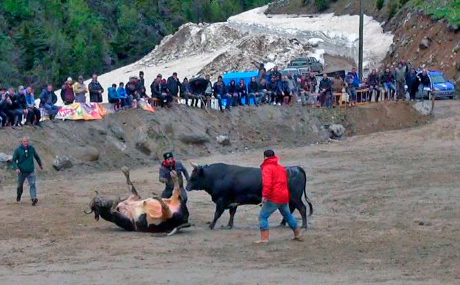 ayderboga3.jpg ayderboga3.jpg