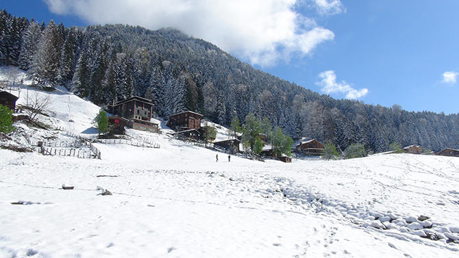 ayderkar1-001.jpg ayderkar1-001.jpg