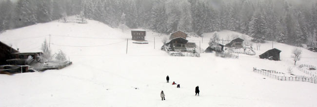 ayderkar2.jpg ayderkar2.jpg