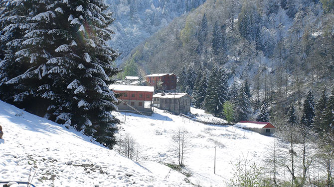 ayderkar3-001.jpg ayderkar3-001.jpg