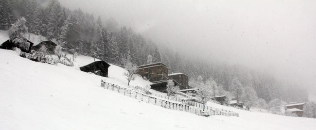 ayderkar5.jpg ayderkar5.jpg