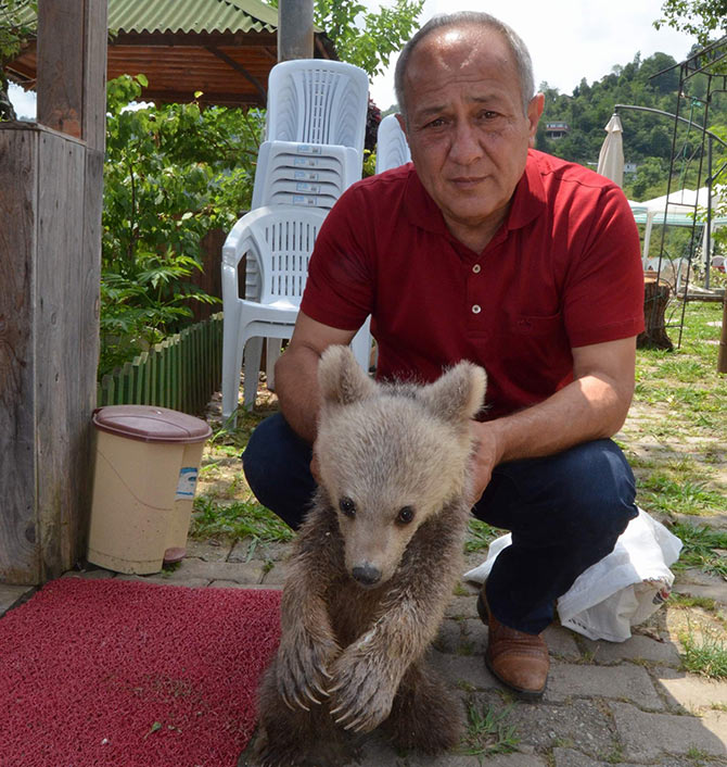 ayi2-003.jpg ayi2-003.jpg