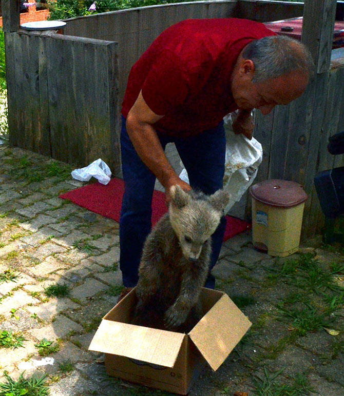 ayi3-002.jpg ayi3-002.jpg