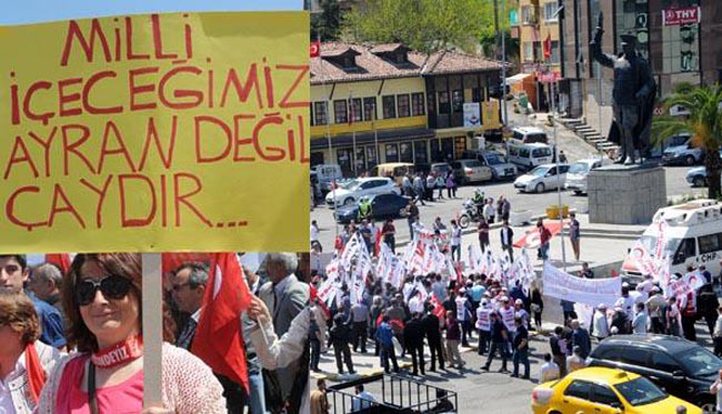 ayrancay.jpg ayrancay.jpg