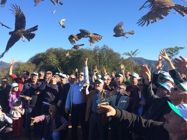 b1_trr6ceamlgsc.jpg b1_trr6ceamlgsc.jpg