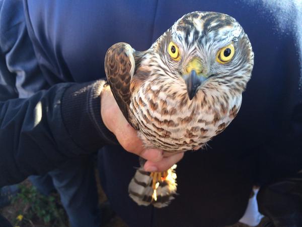 b1_trsdccaethu2.jpg b1_trsdccaethu2.jpg