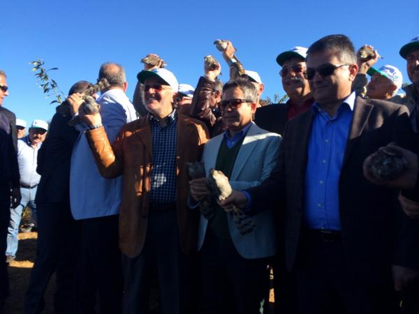 b1_trsjigaeurxs.jpg b1_trsjigaeurxs.jpg