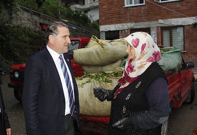 bak02-002.jpg bak02-002.jpg