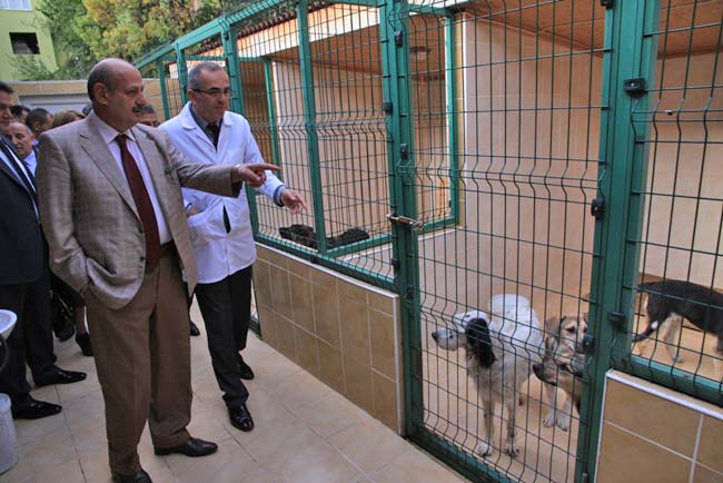 bak3.20131023123913.jpg bak3.20131023123913.jpg