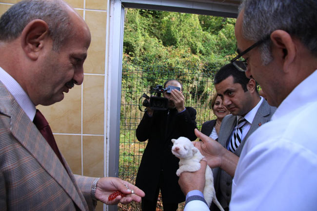 bak4.20131023123855.jpg bak4.20131023123855.jpg