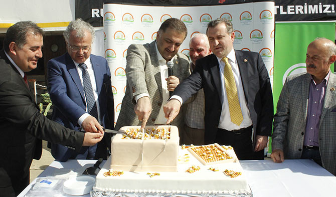 bak5-016.jpg bak5-016.jpg