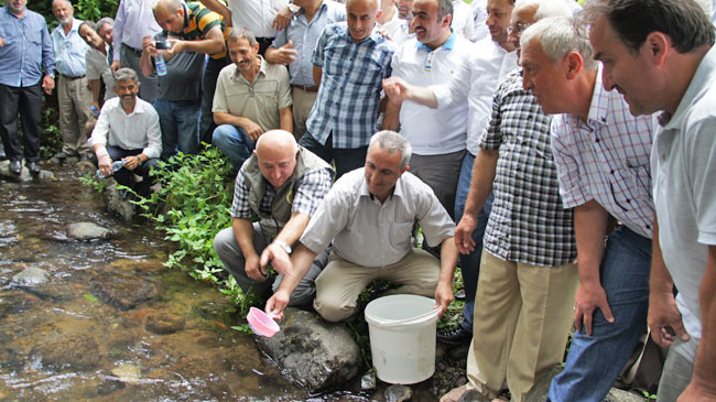 balik1.20130830203718.jpg balik1.20130830203718.jpg