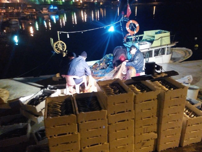 balik1.20141213010935.jpg balik1.20141213010935.jpg