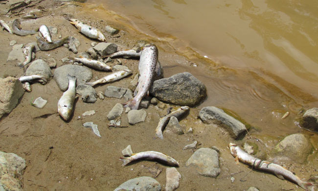 balik1.jpg balik1.jpg