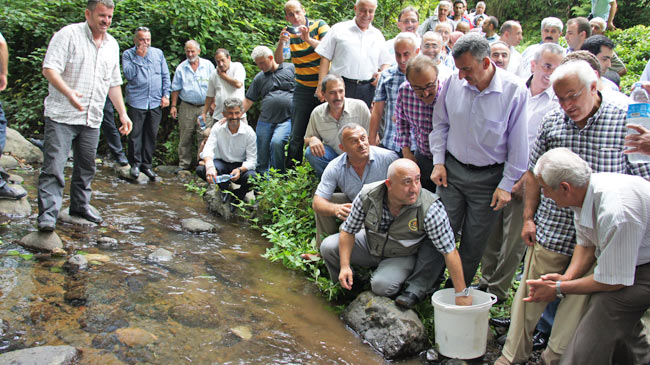 balik2.20130830203700.jpg balik2.20130830203700.jpg