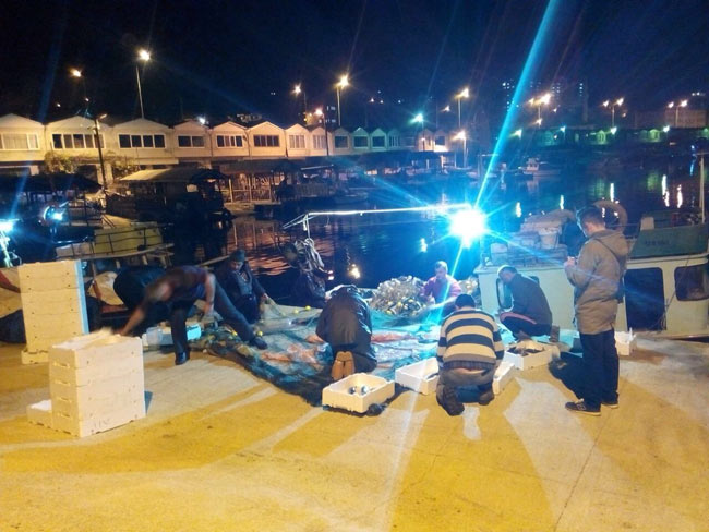 balik2.20141213010954.jpg balik2.20141213010954.jpg