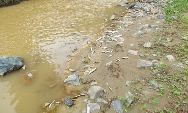 balik2.jpg balik2.jpg