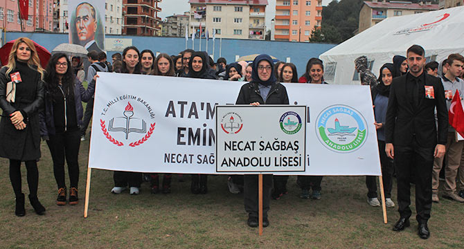 bayr25.jpg bayr25.jpg