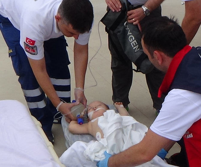 bebek3.jpg bebek3.jpg