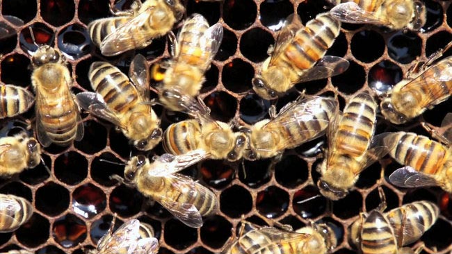 belgesel3.jpg belgesel3.jpg