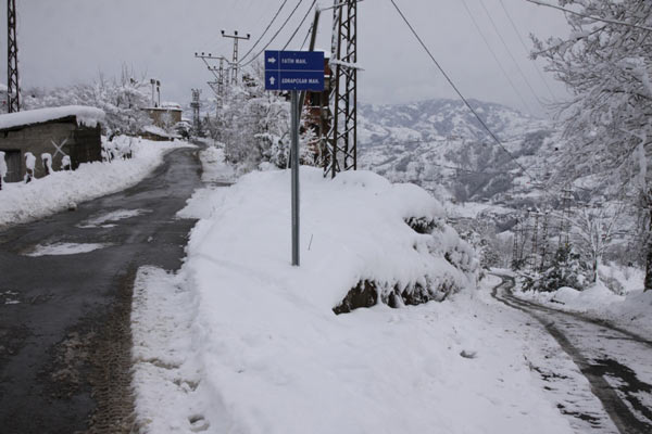 bld1-007.jpg bld1-007.jpg