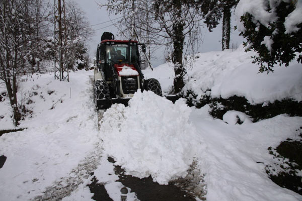 bld4-002.jpg bld4-002.jpg