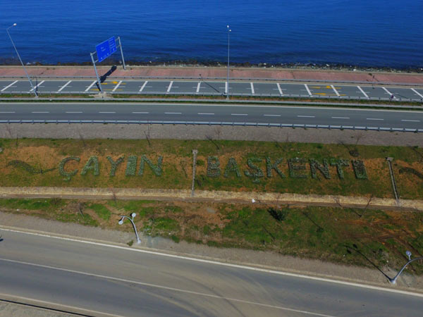 bld4-003.jpg bld4-003.jpg