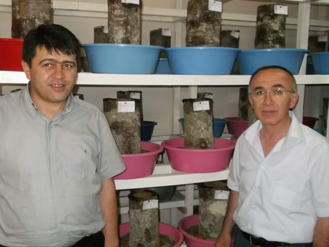 bocekk.jpg bocekk.jpg