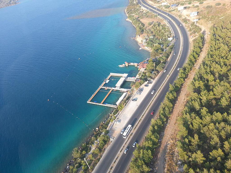 bodrumdolphinpark1.jpg