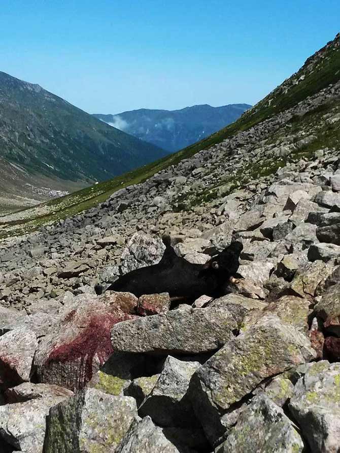 boga1-002.jpg boga1-002.jpg