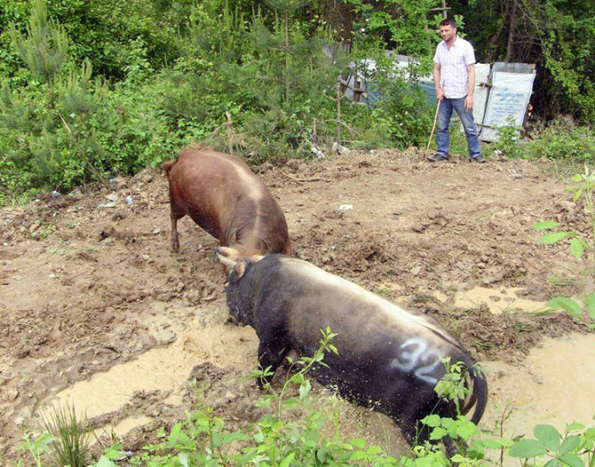 boga2-003.jpg boga2-003.jpg