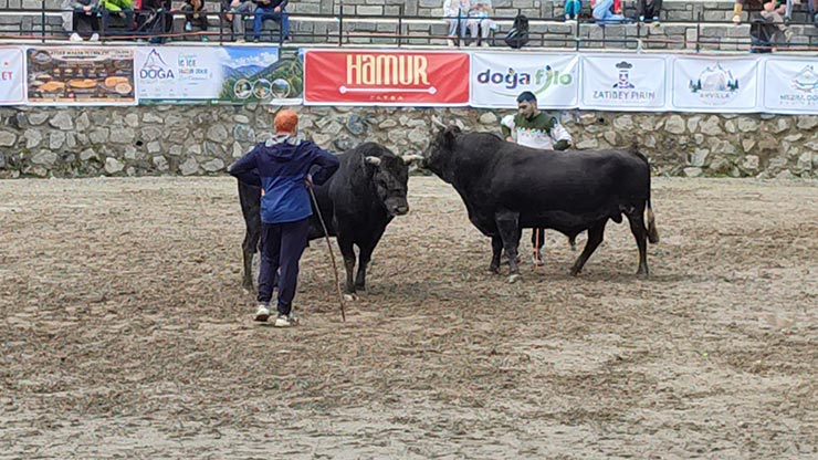 boga2-018.jpg