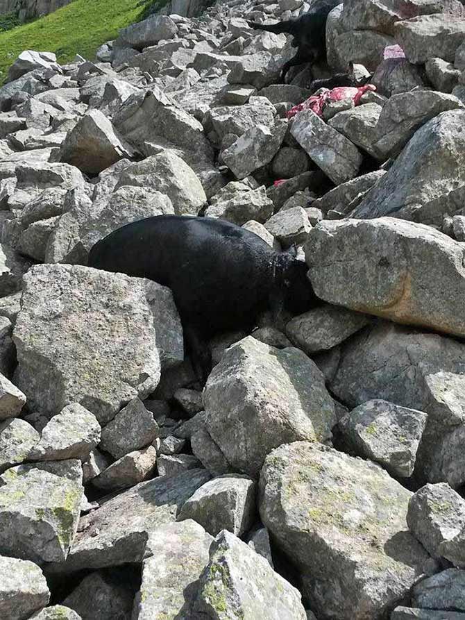 boga4-001.jpg boga4-001.jpg