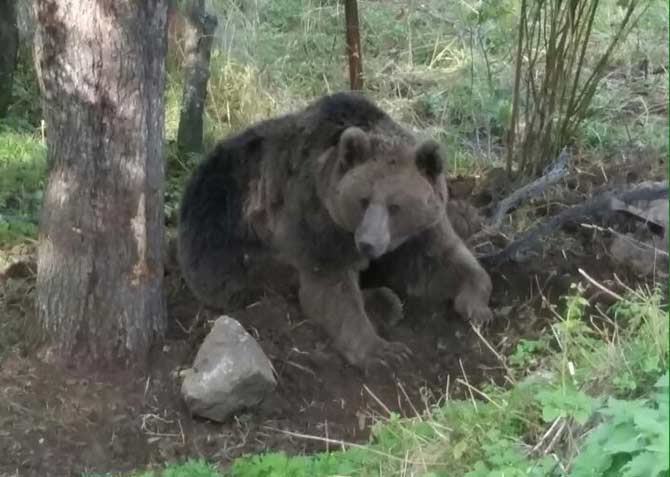 bozayi2.jpg bozayi2.jpg