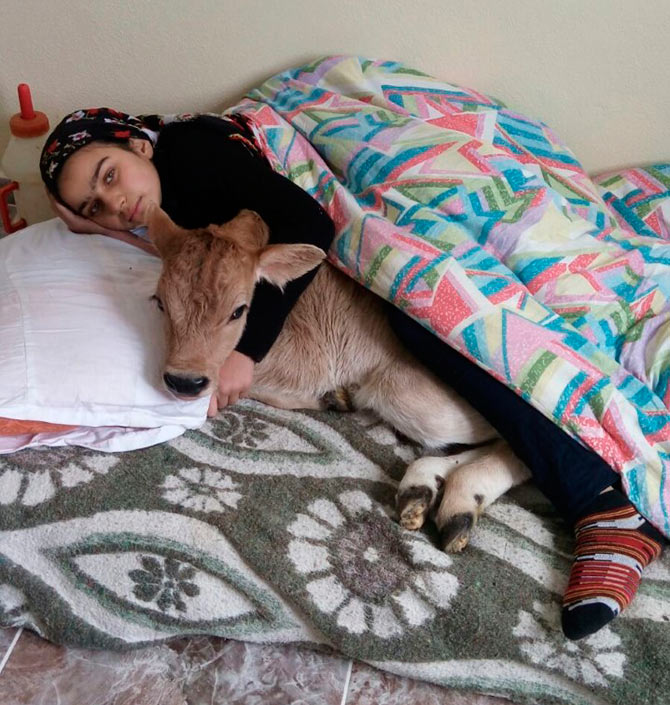 buzak1.jpg buzak1.jpg