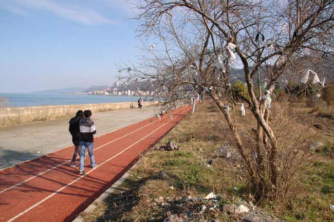 caaput1.jpg caaput1.jpg