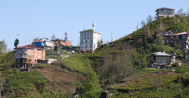 cam3.20140404175833.jpg cam3.20140404175833.jpg