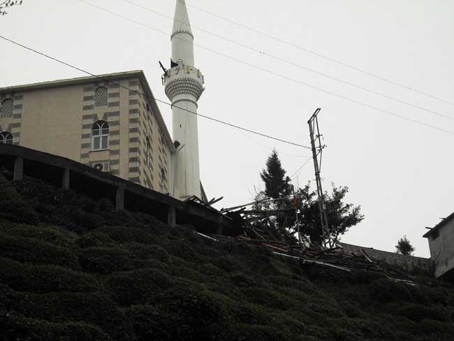 cami3.20120402231038.jpg cami3.20120402231038.jpg