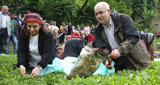 cay1.20130512203440.jpg cay1.20130512203440.jpg