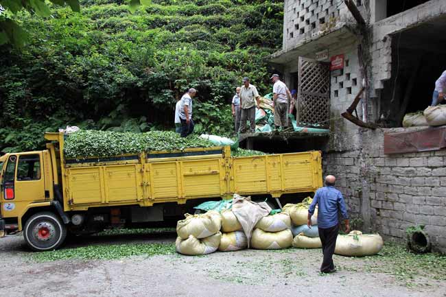 cay1.20130710230244.jpg cay1.20130710230244.jpg